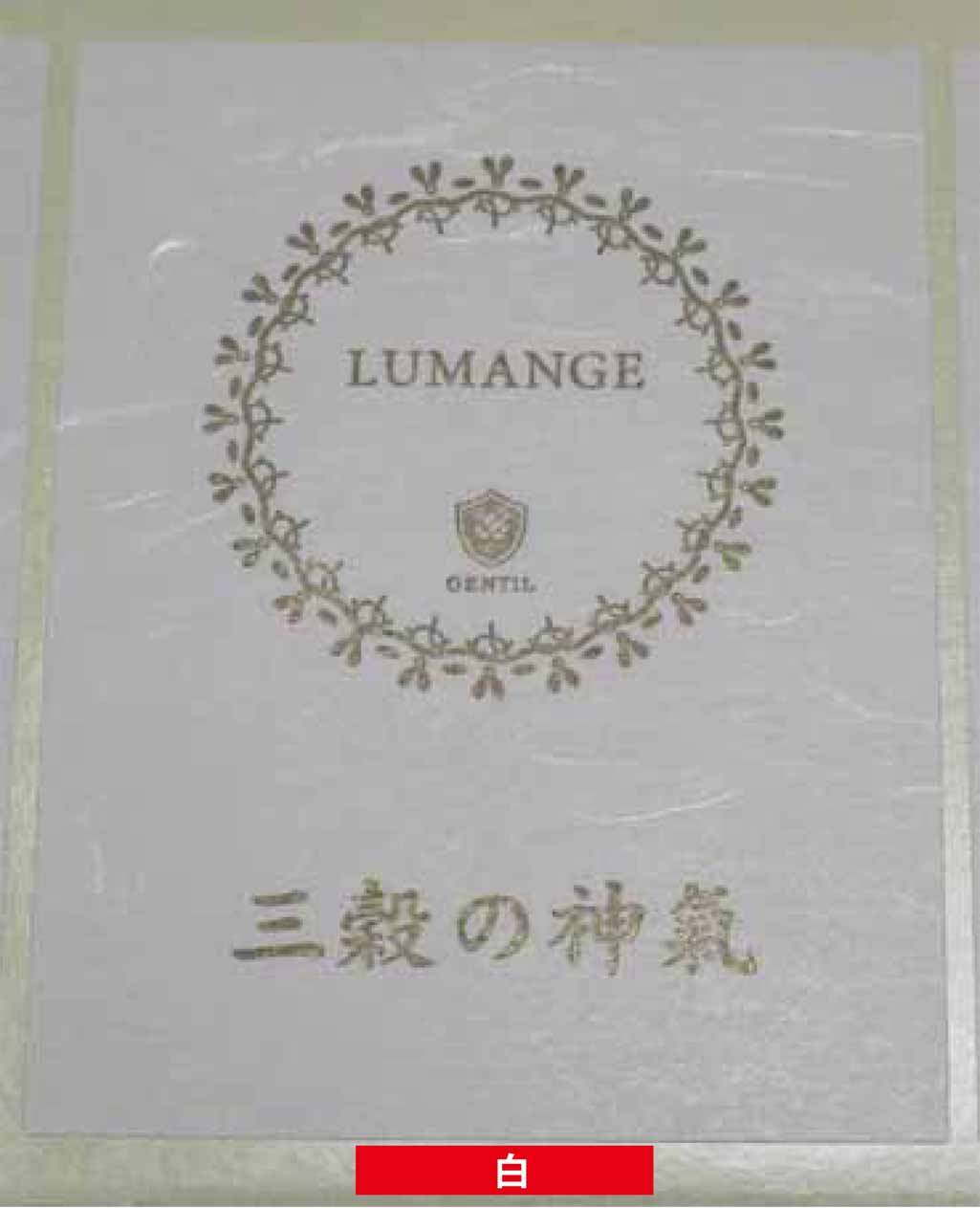 和紙